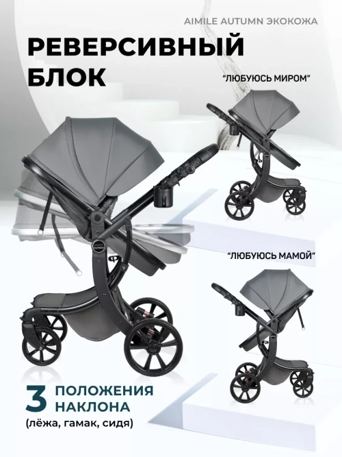 Коляска-трансформер Farfello Aimile Original Autumn 2 в 1 Dark grey