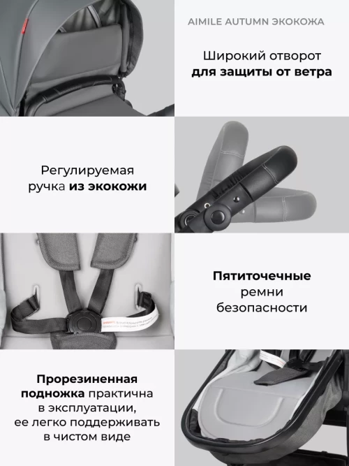 Коляска-трансформер Farfello Aimile Original Autumn 2 в 1 Dark grey