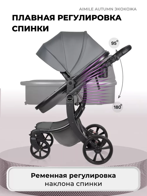 Коляска-трансформер Farfello Aimile Original Autumn 2 в 1 Dark grey