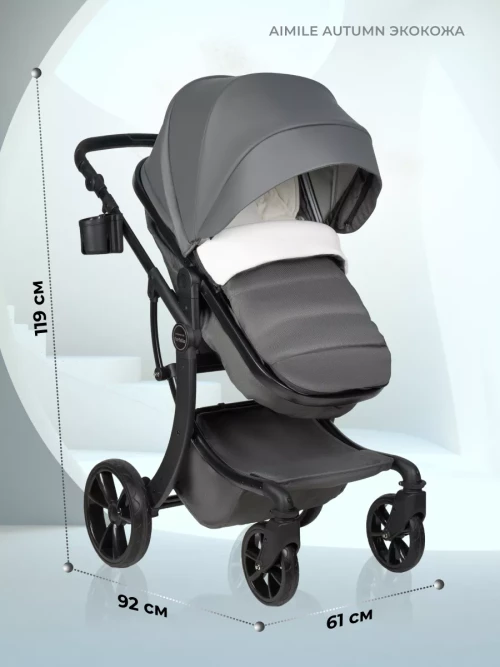 Коляска-трансформер Farfello Aimile Original Autumn 2 в 1 Dark grey