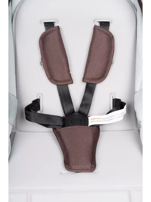 Коляска-трансформер Farfello Aimile Original Autumn 2 в 1 Chocolate