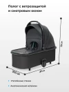 Коляска 3 в 1 Farfello Sola Trio Comfort черный оникс