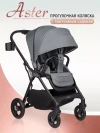 Коляска прогулочная Aimile Aster Grey 