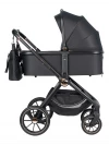 Коляска 3 в 1 Farfello Belleza 2024 Golden black
