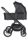 Коляска 3 в 1 Farfello Belleza 2024 Golden black