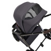 Коляска 2 в 1 Labala Raiz Anthrazit (14ATH) 2025