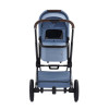 Коляска 2 в 1 Labala Raiz 2025 Sky Blue (16SBL) 