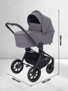 Коляска 2 в 1 Rant Flex RA076 Graphite 2025