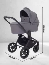 Коляска 2 в 1 Rant Flex RA076 Graphite 2025