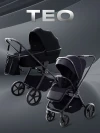 Коляска 2 в 1 Rant Teo RA120 Black
