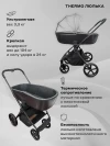 Коляска 2 в 1 Rant Teo RA120 Black