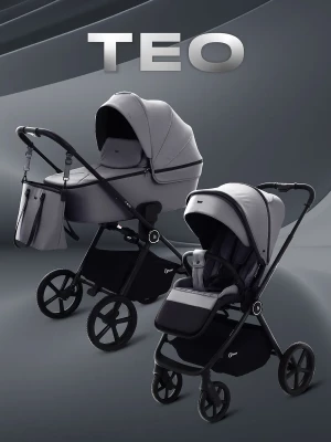 Коляска 2 в 1 Rant Teo RA120 Grey