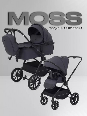 Коляска 2 в 1 Rant Moss RA321 Graphite