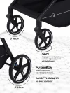 Коляска прогулочная Rant Moss RA323 Black