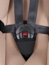 Автокресло Rant Drive isofix LB619 0/1/2/3 (0-36 кг) Beige