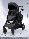 Коляска для двойни Farfello Silva Duo Black