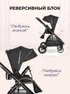 Коляска 2 в 1 Farfello Camille 2024 black