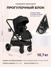 Коляска 2 в 1 Farfello Camille 2024 black