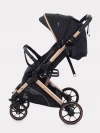 Коляска прогулочная Rant Basic Vortex RA304 Black