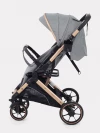 Коляска прогулочная Rant Basic Vortex RA304 Grey