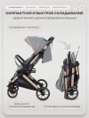 Коляска прогулочная Rant Basic Vortex RA304 Grey