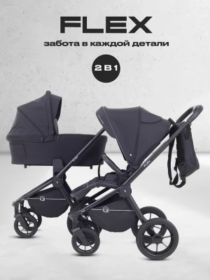 Коляска 2 в 1 Rant Flex RA076 Black 2025