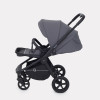 Коляска прогулочная Rant Flex RA078 Graphite
