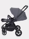 Коляска прогулочная Rant Flex RA078 Graphite