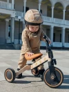 Беговел-трансформер Happy Baby Adventure sage flower