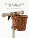 Самокат 3-х колесный Happy Baby Tornado V2 New olive