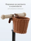 Самокат 3-х колесный Happy Baby Tornado V2 New Black