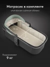 Коляска 2 в 1 Happy Baby Celine Pro dark olive