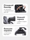 Коляска прогулочная Happy Baby Celine New black
