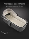 Коляска 2 в 1 Happy Baby Celine Pro grey