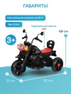Электромотоцикл Farfello SR9909 черный