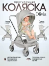 Коляска прогулочная Farfello Olivia Agate grey