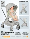 Коляска прогулочная Farfello Olivia Agate grey
