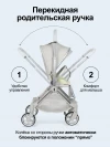 Коляска прогулочная Farfello Olivia Agate grey