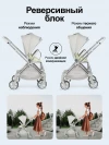 Коляска прогулочная Farfello Olivia Agate grey
