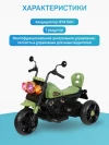 Электромотоцикл Farfello SR9909 зеленый