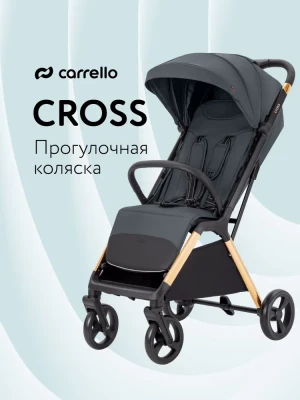 Коляска прогулочная Carrello Cross CRL-5523 Eagle Grey