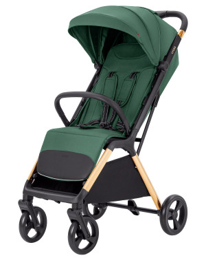 Коляска прогулочная Carrello Cross CRL-5523 Parrot Green