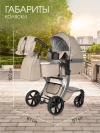 Коляска-трансформер Farfello Aimile Adventurer 2 в 1 Beige