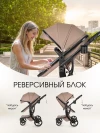 Коляска-трансформер Farfello Aimile Adventurer 2 в 1 Cocoa