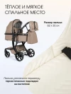 Коляска-трансформер Farfello Aimile Adventurer 2 в 1 Cocoa