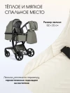 Коляска-трансформер Farfello Aimile Adventurer 2 в 1 Olive