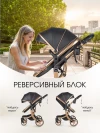 Коляска-трансформер Farfello Aimile Adventurer 2 в 1 Total Black