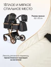 Коляска-трансформер Farfello Aimile Adventurer 2 в 1 Total Black