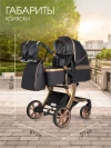 Коляска-трансформер Farfello Aimile Adventurer 2 в 1 Total Black