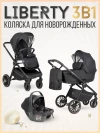 Коляска 3 в 1 Farfello Liberty Black magic